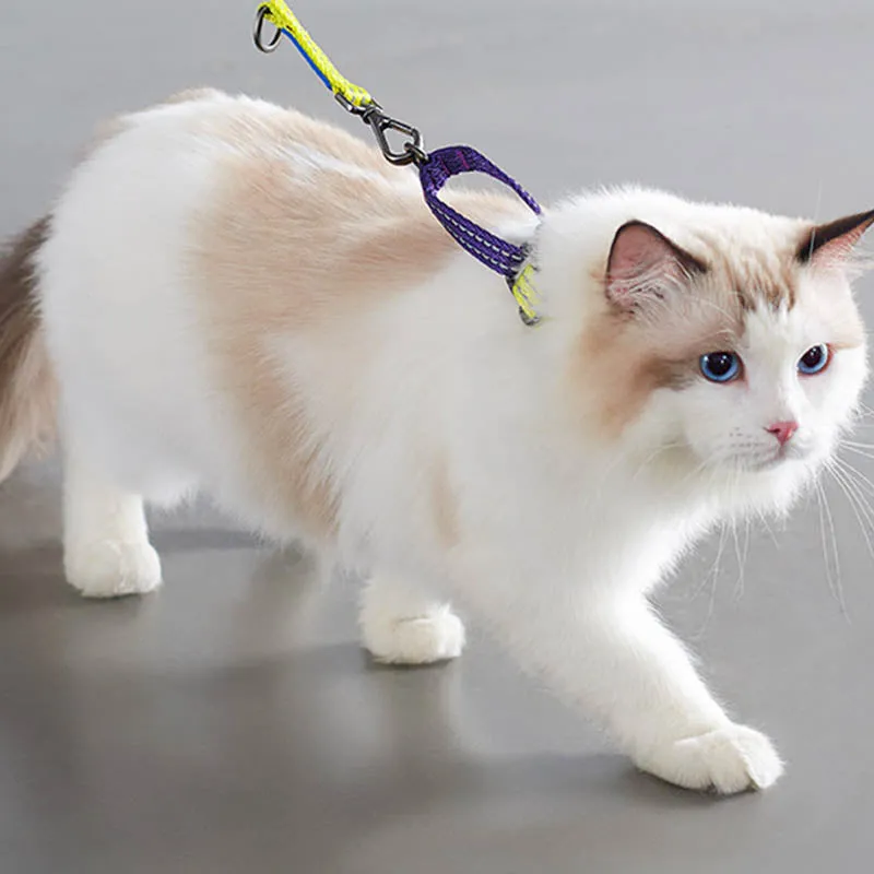 Stylish Reflective Martingale Collar for Dogs and Cats