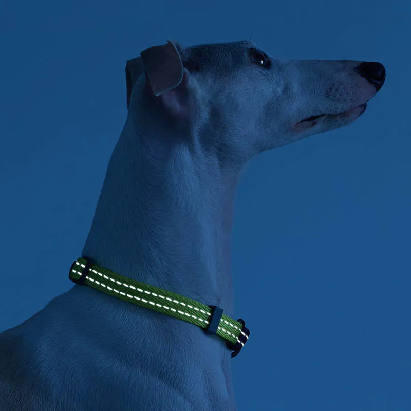 Stylish Reflective Martingale Collar for Dogs and Cats