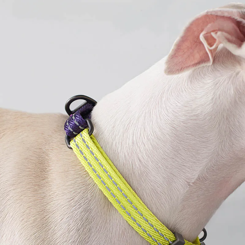 Stylish Reflective Martingale Collar for Dogs and Cats