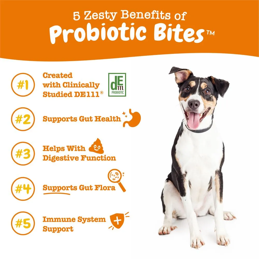 TRIAL SPECIAL 50% OFF (1 per order): Zesty Paws Probiotic Bites Pumpkin Dog Supplement Trial Pack 10 chews