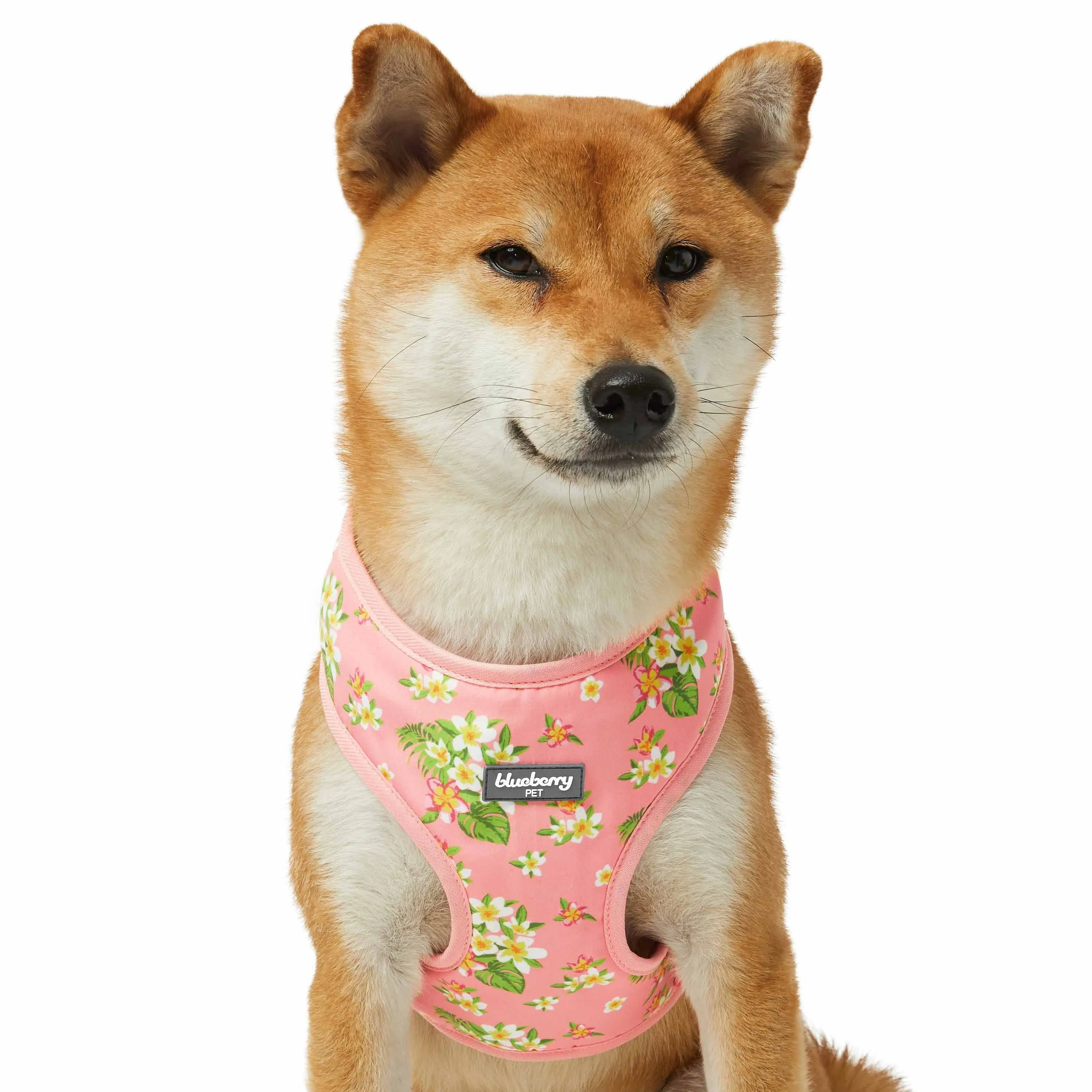 Tropical Yellow Plumeria Flower Dog Harness Vest