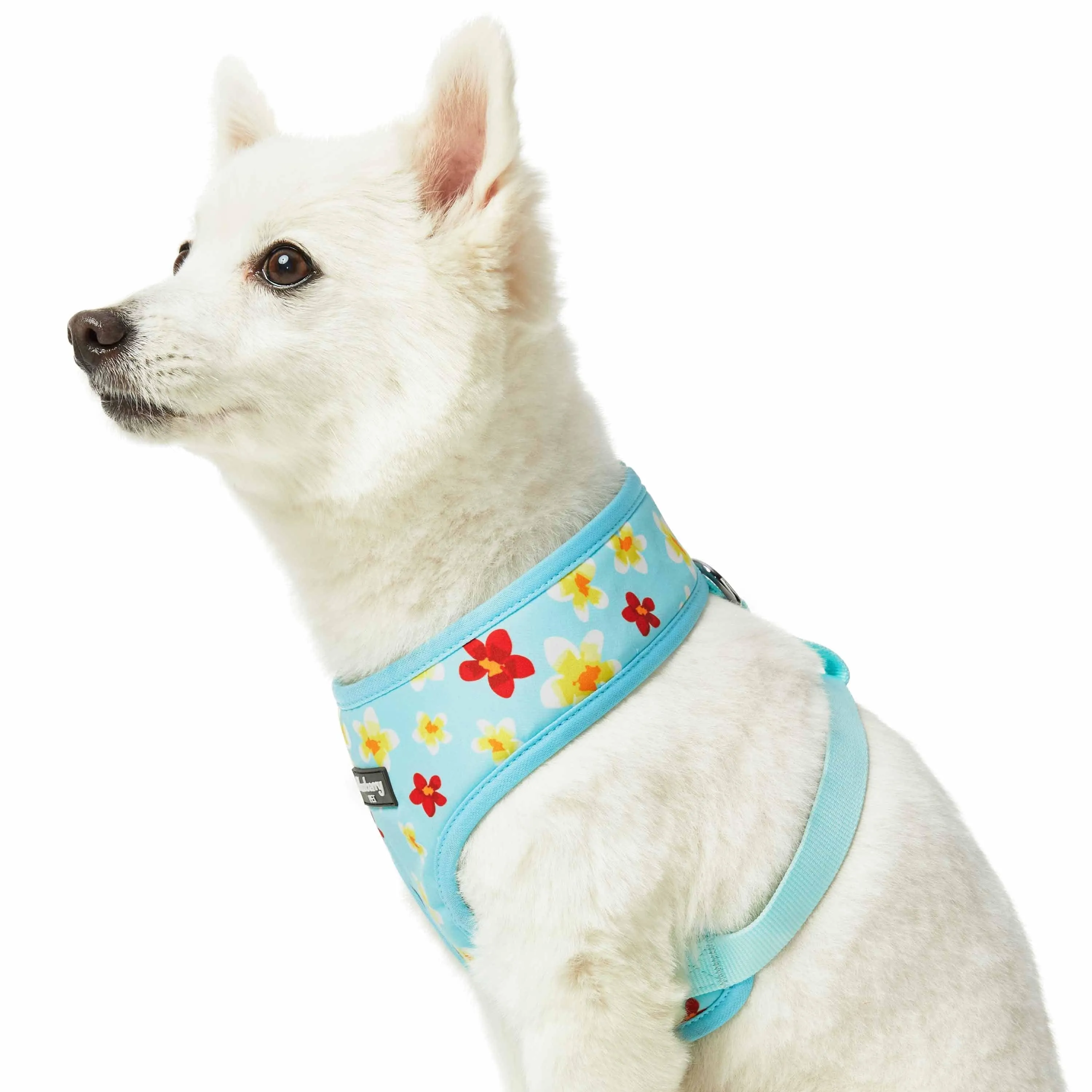 Tropical Yellow Plumeria Flower Dog Harness Vest