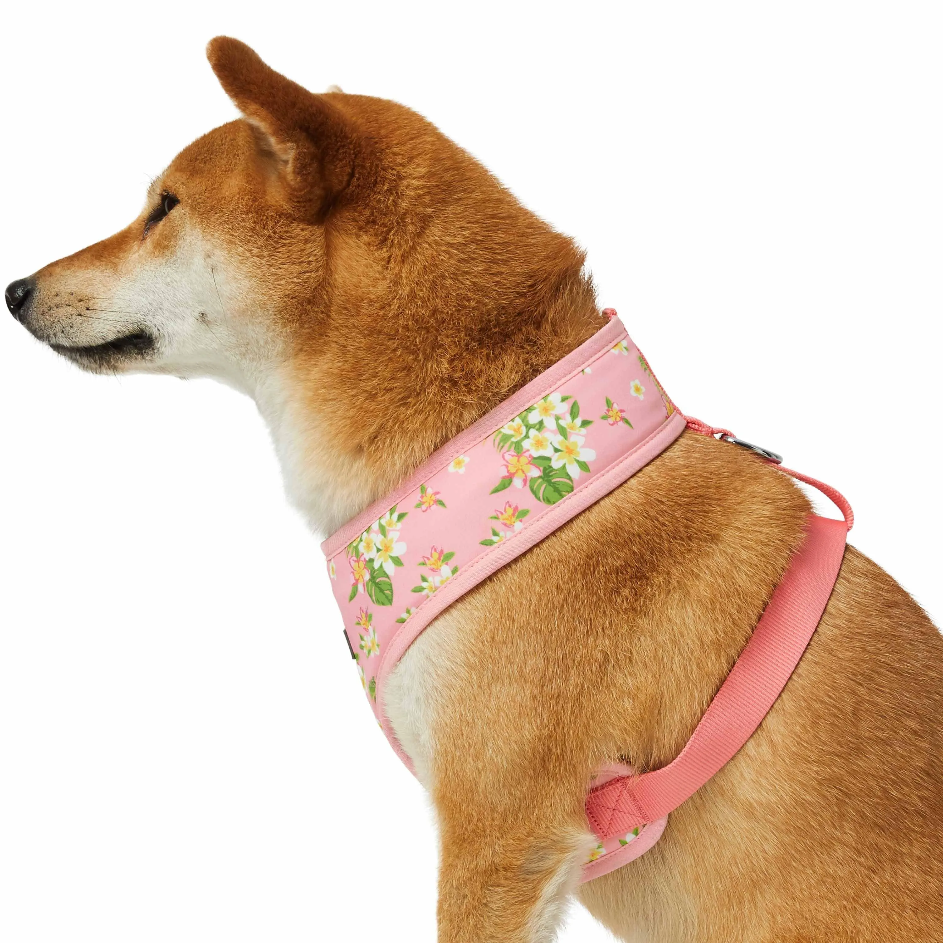 Tropical Yellow Plumeria Flower Dog Harness Vest