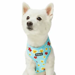 Tropical Yellow Plumeria Flower Dog Harness Vest