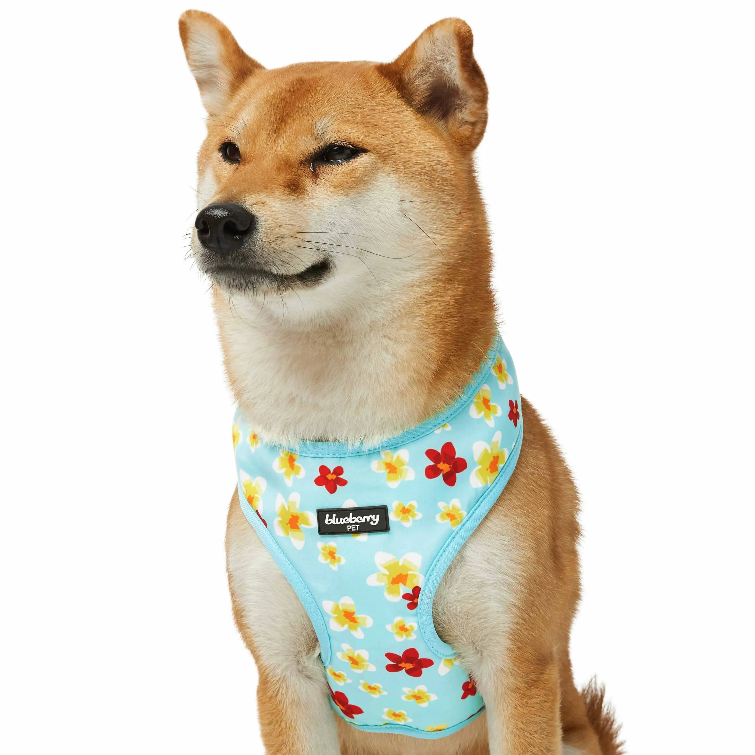 Tropical Yellow Plumeria Flower Dog Harness Vest