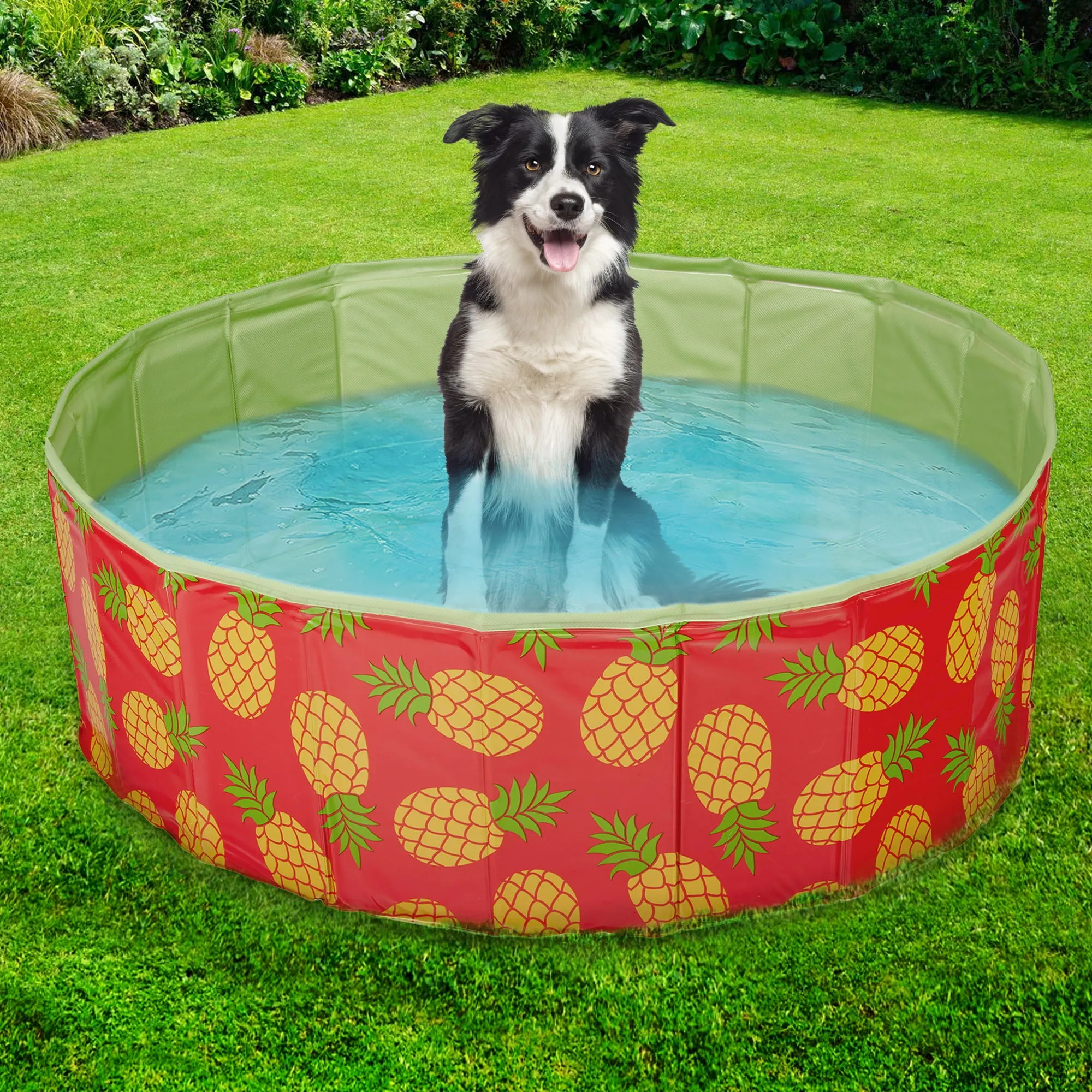 Vibrant Life Dog Pool, Pineapple, 39" Diameter