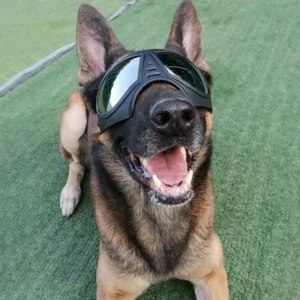 Waterproof Dog Glasses