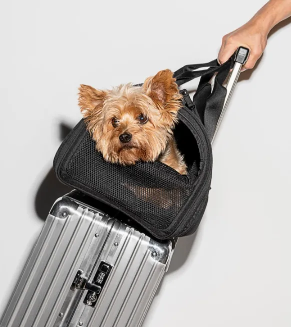 Wild One Travel Tsa Compliant Pet Dog Carrier - Black
